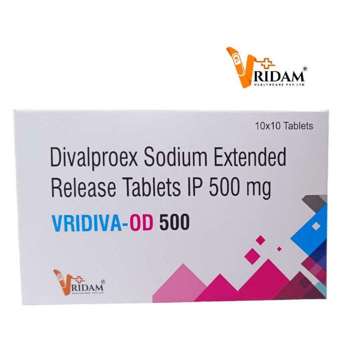VRIHIST 24 TABLET